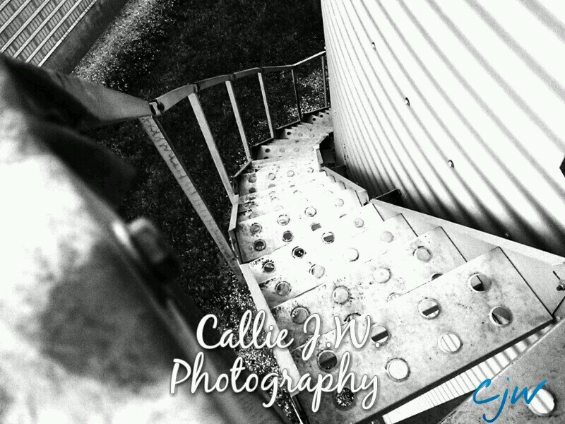 CallieJW_Photos's profile picture. I grew up on a farm and want to show the world the beautiful life of agriculture through photography