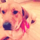 erin buckingham - @buckinghamerin - Twitter