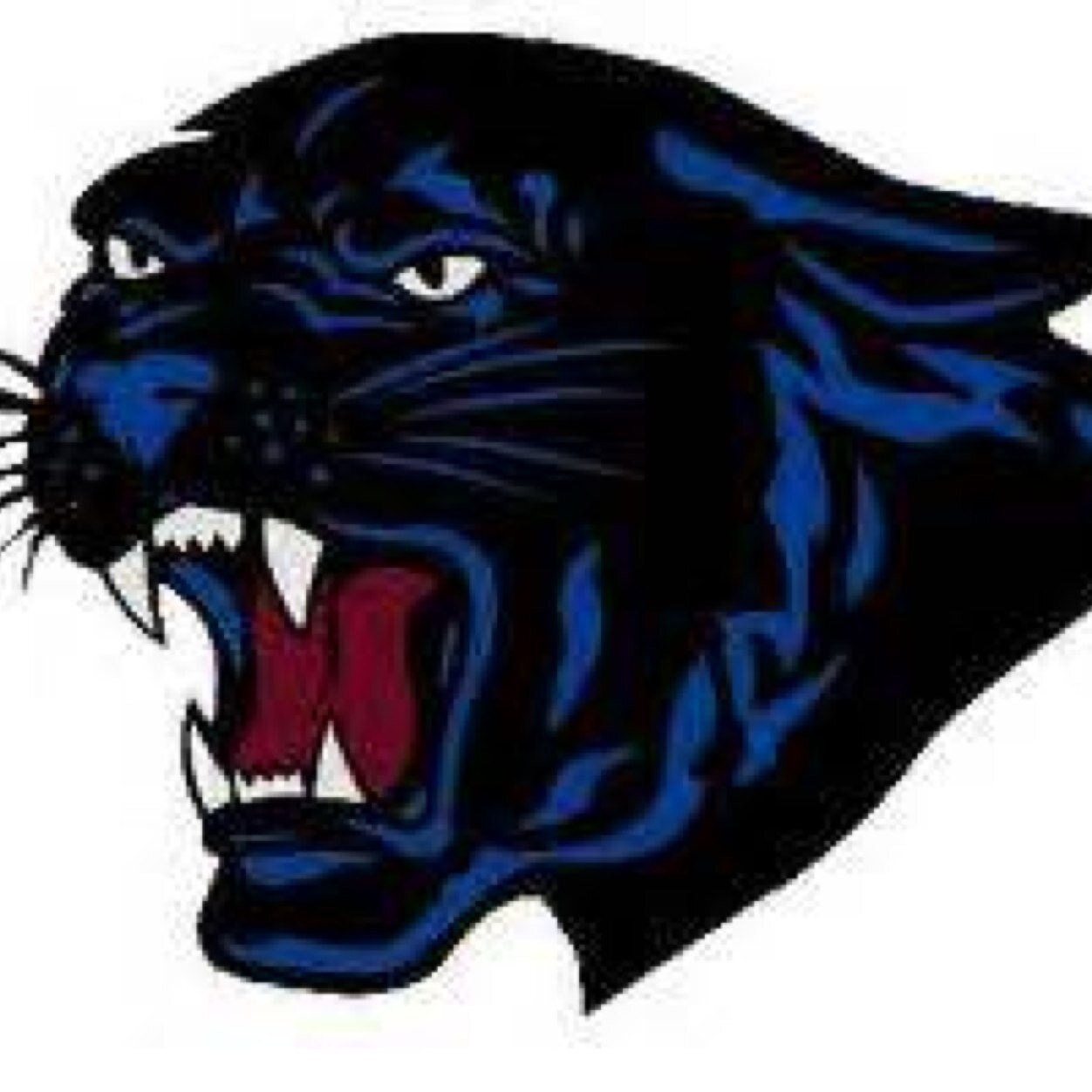 The latest on Greenbrier panther basketball. (account ran by Catie Metcalf)
