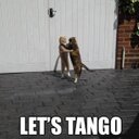 chris collinge - @chrisRcollinge - Twitter