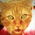 Ariel G. Mekler (@ariel_g_mekler) Twitter profile photo Ariel G. Mekler (@ariel_g_mekler) Twitter profile photo