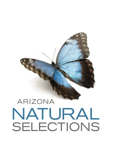 Arizona's finest medical marijuana dispensaries. We are dedicated to providing superior service and medical cannabis to our patients.