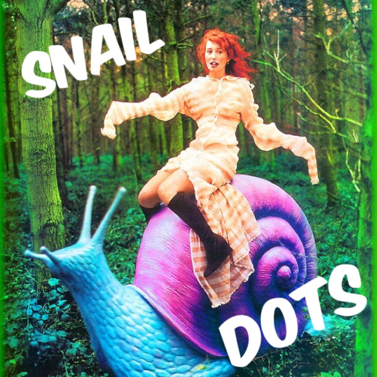 Follow us for a daily dose of the web's most entertaining content curated by our team of expert snails.