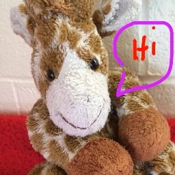 George__Giraffe's profile picture. 