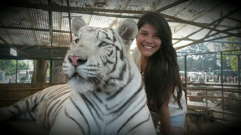 living for love, art and animals