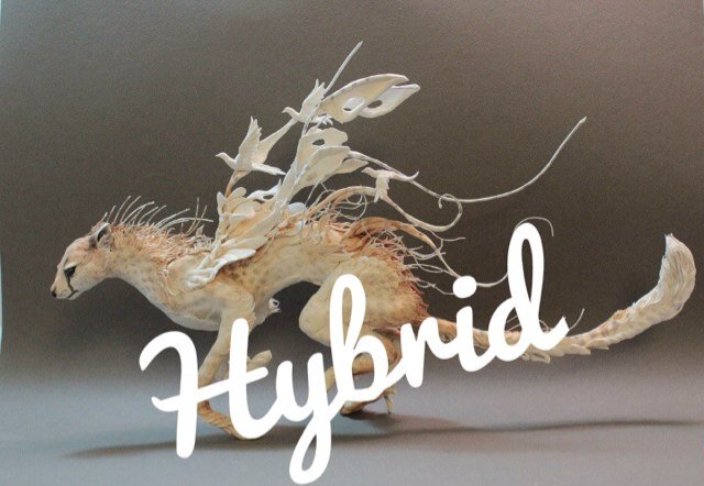 Pr0Clan's profile picture. 