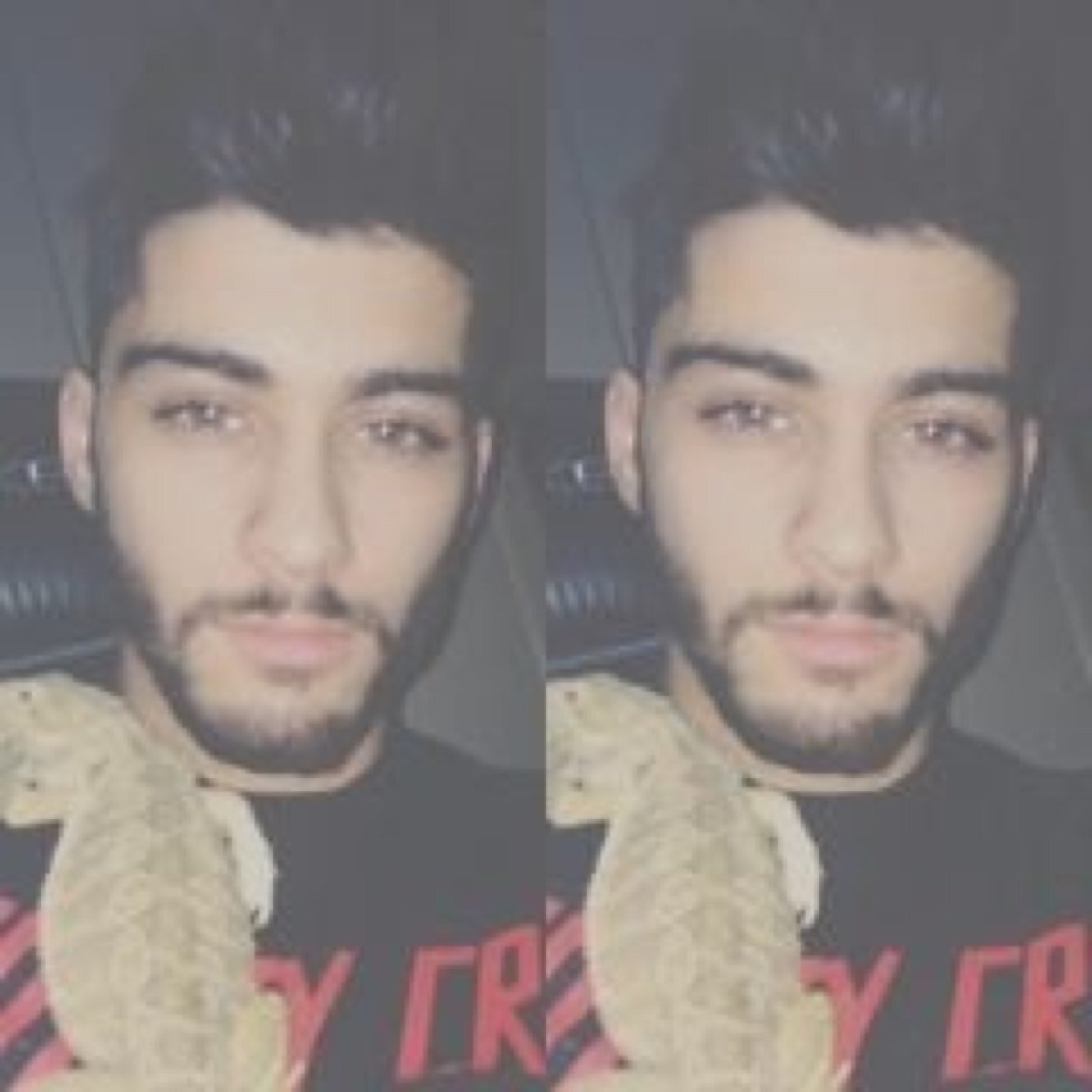 Follow @zaynangxls :) xx