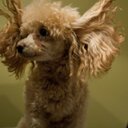 John Coyle - @johnjohncoyle - Twitter