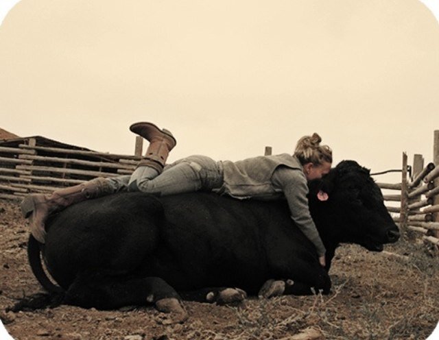 Backwooddarling's profile picture. We're the bad news, were the young guns. We're the ones that they told you to run from