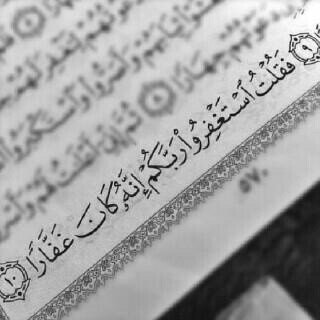 formydad_nh's profile picture. 