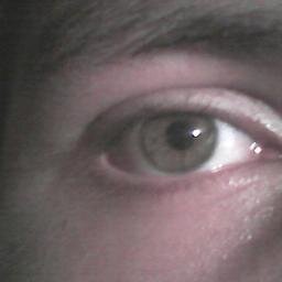 carlosadammarti's profile picture. Jodedor buena persona un poco vago