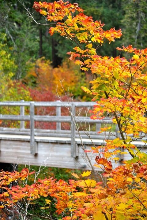 OgblogM's profile picture. 