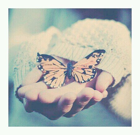 YourButterfly_'s profile picture. Here's a little butterfly to remind you that you're amazingly beautiful, and worth it. Put that perfect smile on your face & Keep fighting, tiger♡