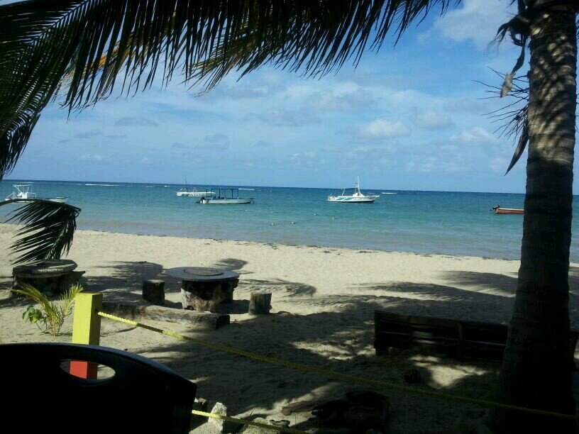 noconTESS's profile picture. Husband, father, entrepreneur, dream chaser...driven to succeed not deterred by the thought of failure.