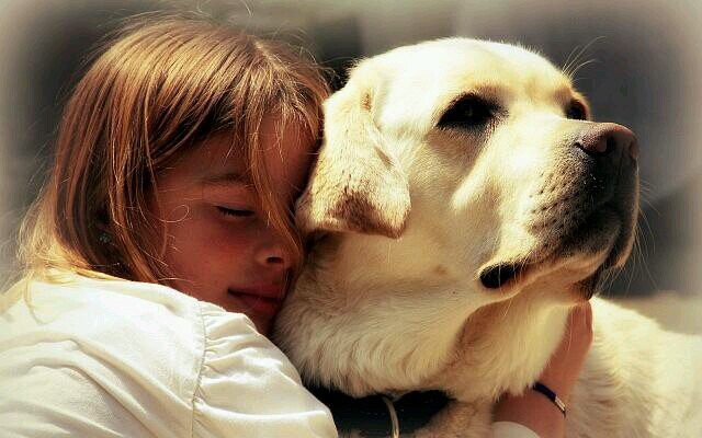 pet lovers unite  help those in need