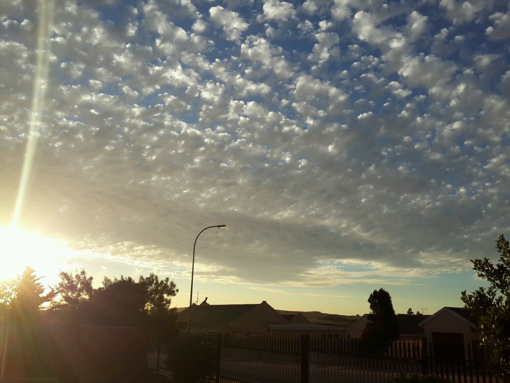 DrDoLot's profile picture. 