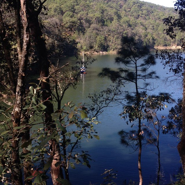 2806yayo's profile picture. 