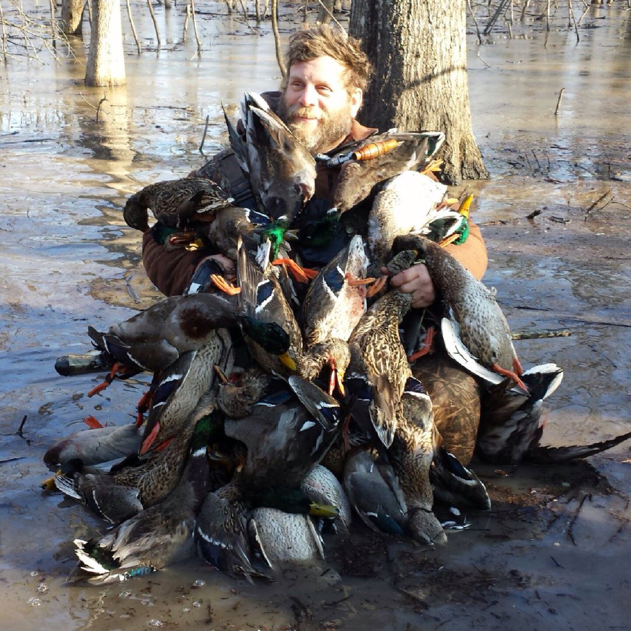 DucksDieNasty's profile picture. 