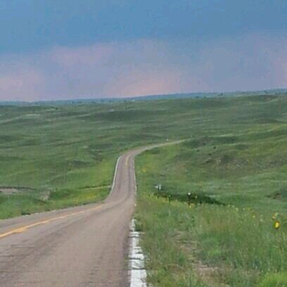 cattlecondo's profile picture. 