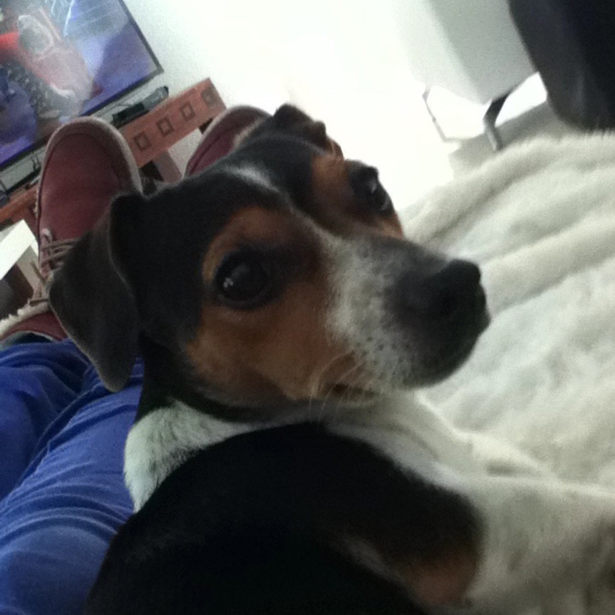 Yolo_jill_24's profile picture. lig wakker in mijn bed hooft vol met gedachten tijd tikt langzaam door ik heb slapenloze nachten ⭐⭐⭐