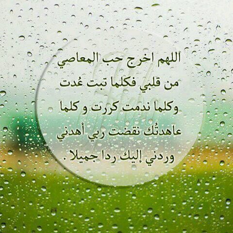 ‏‏حكمه أعجبتني 
إن مشقة الطاعة تذهب ويبقى ثوابها 
وإن لذة المعصية تذهب ويبقى عقابها