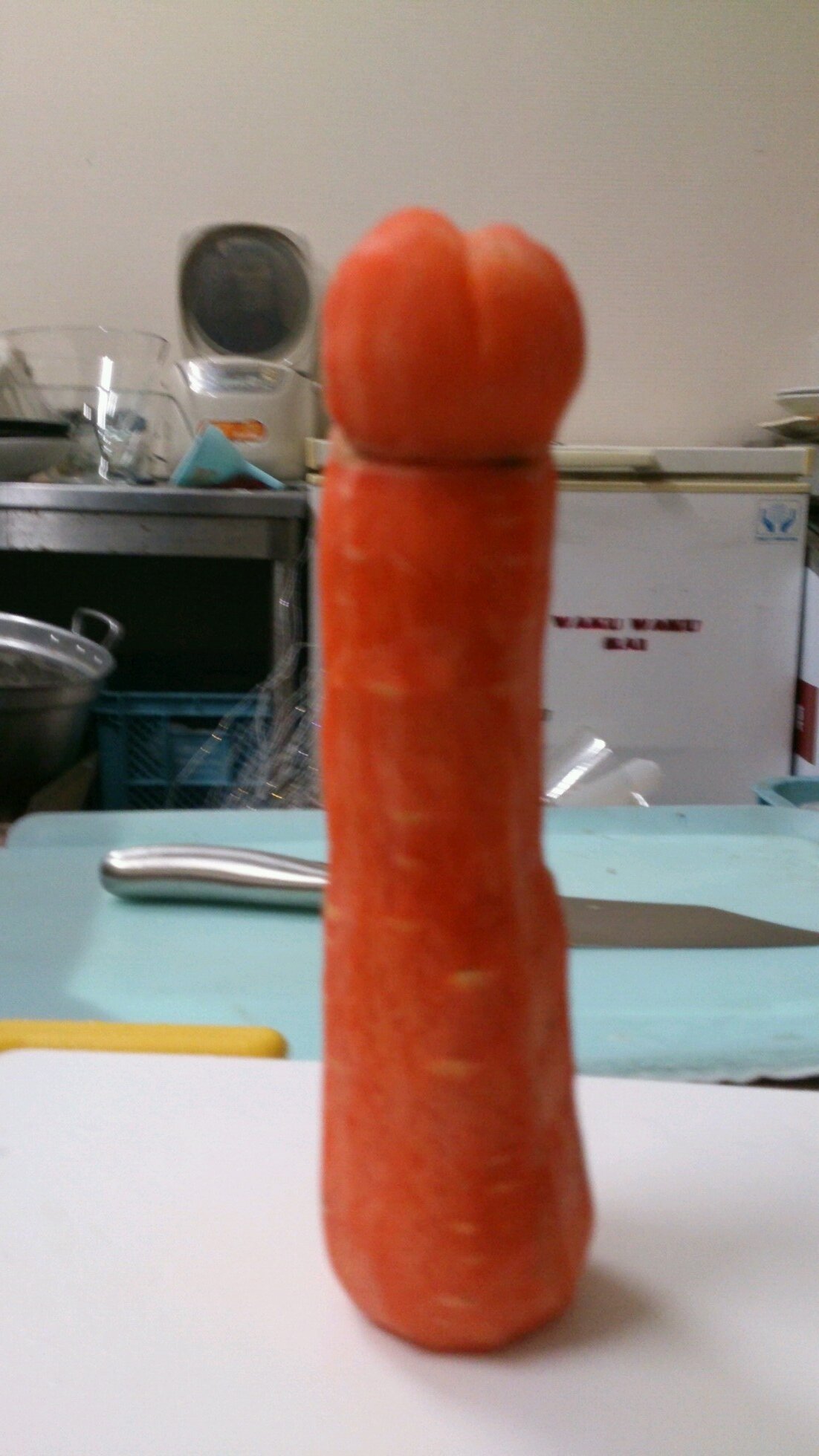 toshiyuki7664's profile picture. 