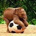 Emergency Elephants (@emergelephants) Twitter profile photo Emergency Elephants (@emergelephants) Twitter profile photo