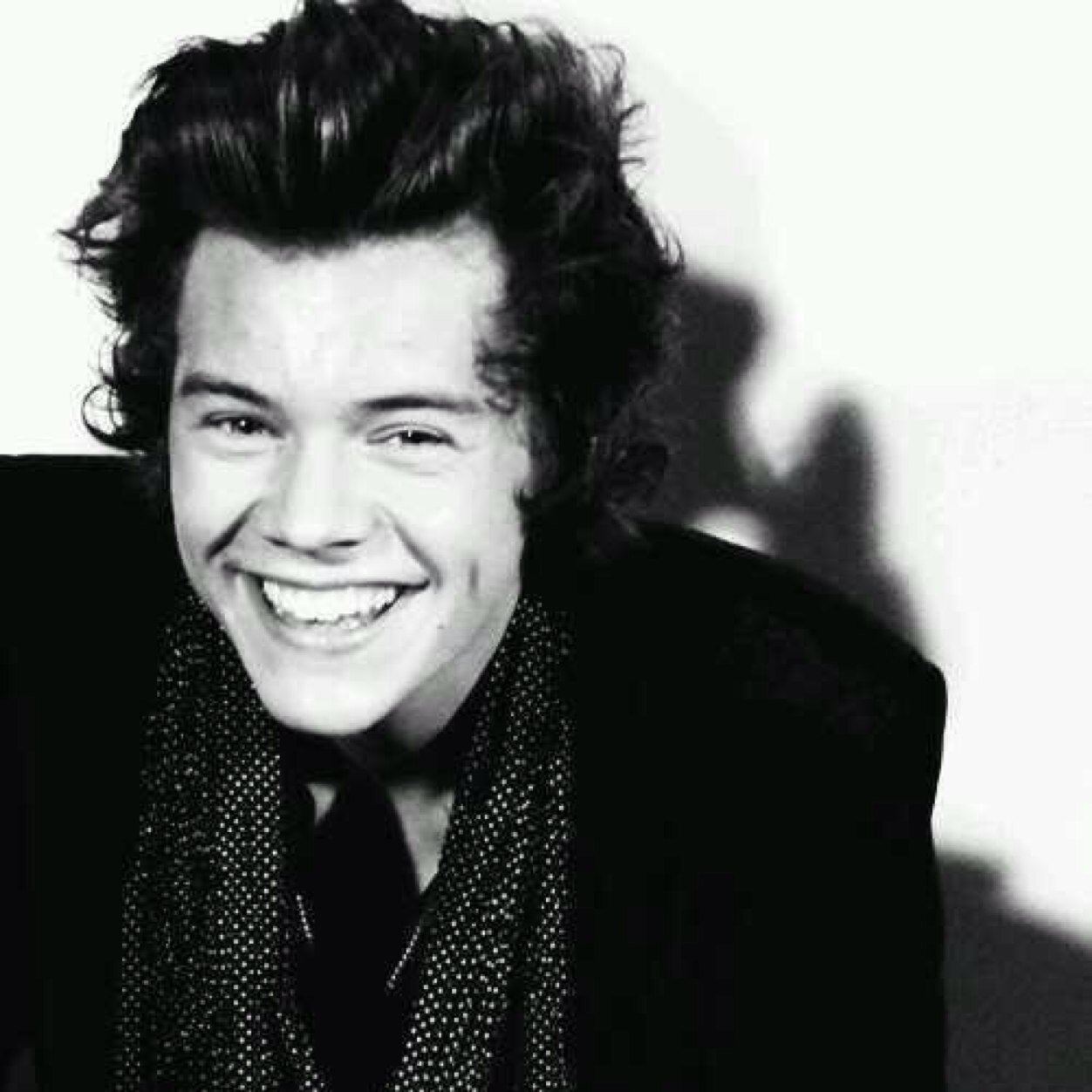 limberlarry's profile picture. So i guess this is a free follow account so yeah follow my main @steamyharry wooooo