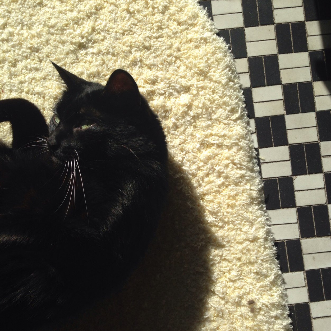 ladydealmeida's profile picture. Doula