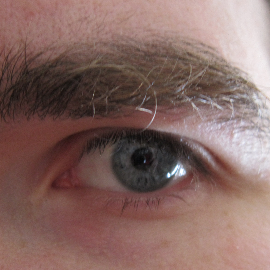 bradcode's profile picture. Software Engineer at Riot after a short indie stint and 10 years working on Spore, SimCity and Doki-Doki Universe. Never stop making!
