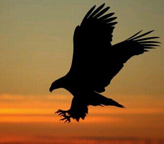 Aslolan hayattır hayatta Beşiktaş !