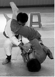 MMATRAINER's profile picture. Mixed Martial Arts Junkie, Jiu Jitsu Student , Muay Thai Practitioner