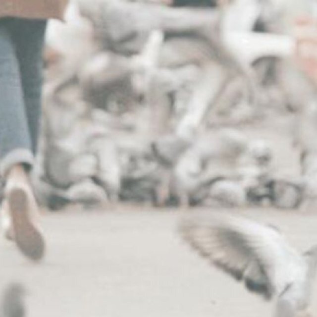 TecharAamm's profile picture. مدرسه خصوصيه ادرس كافة المراحل والتخصصات للاستفسار الرجاء خاص . ( الله اولاً ثم الناس )