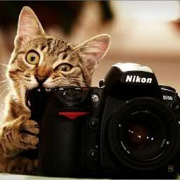 Отличные фотографии для Вас #ВзаимныйФолловинг