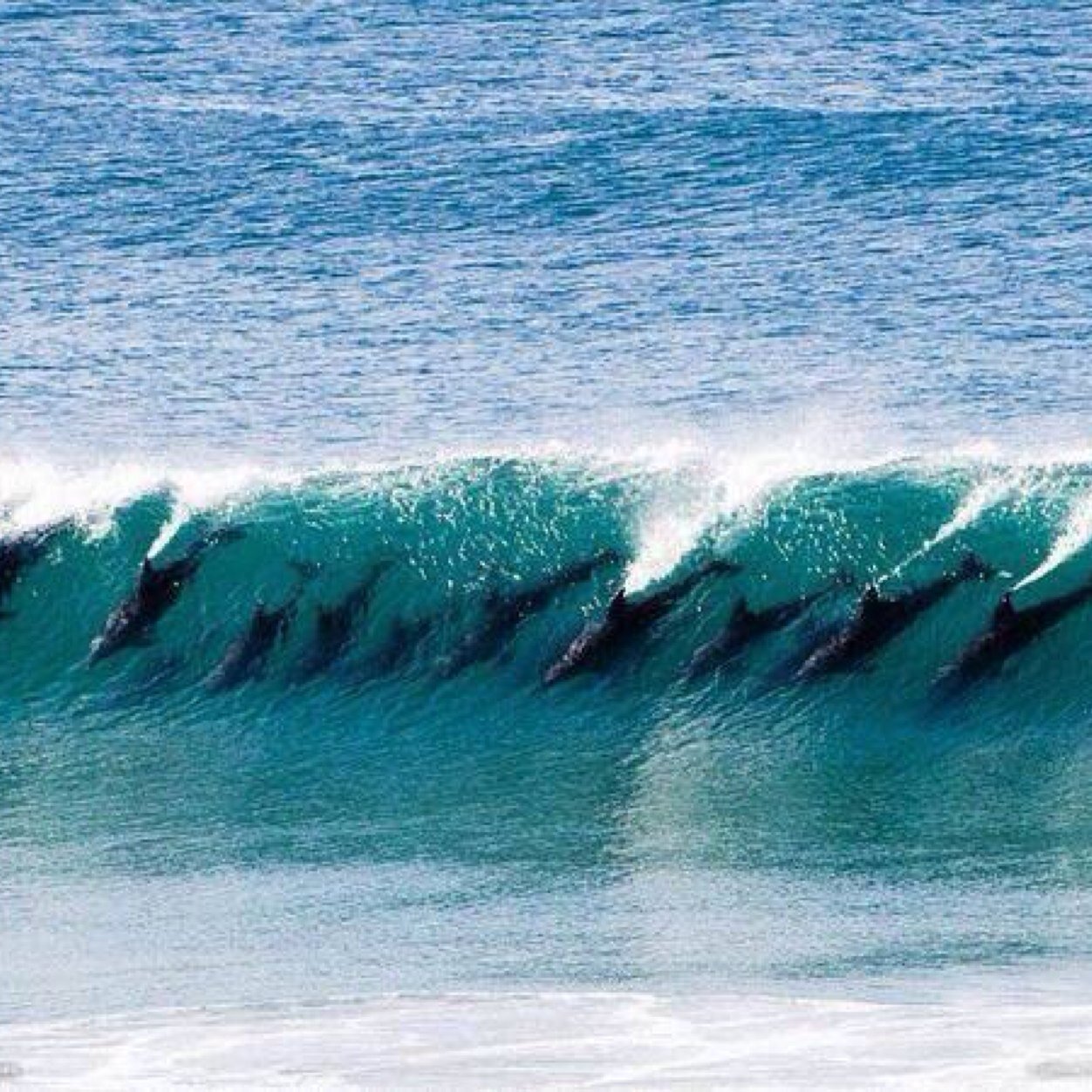 Bradley16Mel's profile picture. 