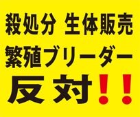動物を愛し尊敬しています。無宗教、無神論者、ｱﾆﾏﾙﾗｲﾂ。地域猫TNR、保護、地域活動、施設ﾎﾞﾗﾝﾃｨｱ、動物虐待Gﾒﾝ、他非公開活動、行政省庁へ抗議デモ。生体販売、動物実験、殺処分、毛皮、虐待、肉食、全て絶対許さない