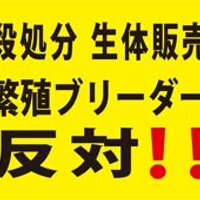 動物解放戦略AR友の会 (@potechisae) 's Twitter Profile