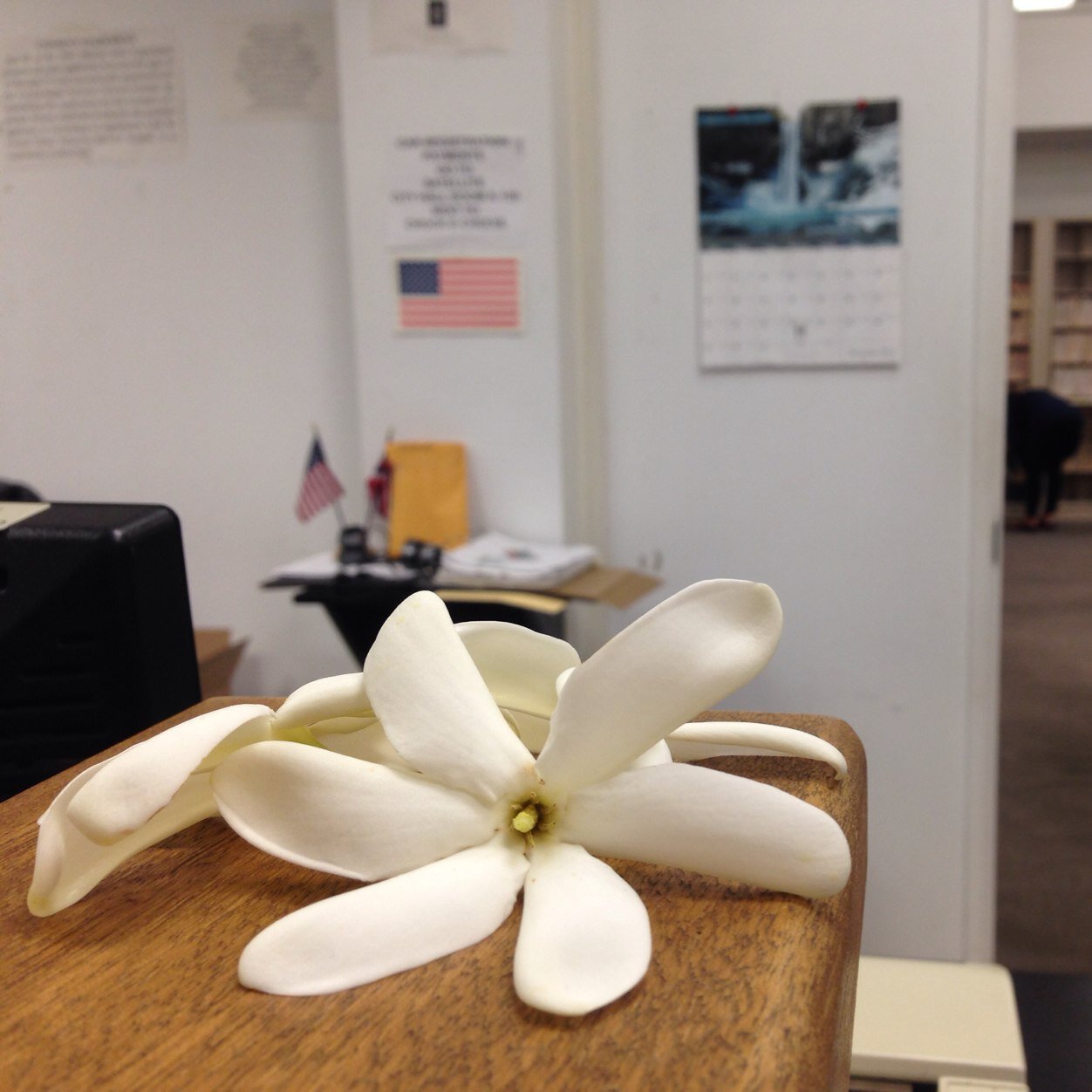 sunset_bay_'s profile picture. 