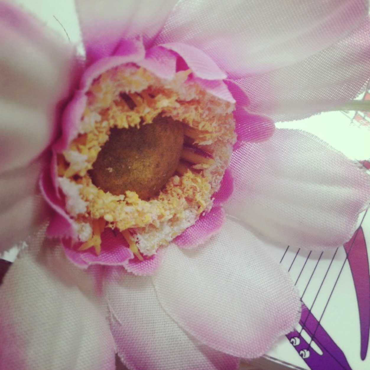 mugi19's profile picture. お気をたしかに！