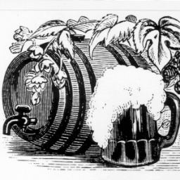 TheCellarbouy's profile picture. A beer lover with enthusiastic taste buds. Belgian fanatic but local is lekker. There's a story at the bottom of every bottle and I'm destined to find it!