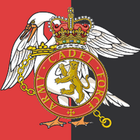 Buckinghamshire ACF (@bucksacf) 's Twitter Profile