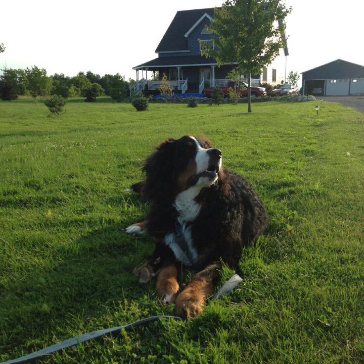 BblaskBlask's profile picture. 