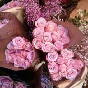 يُقال آن من آصدق الحب (الدعآء و الصدقه) لذآ جعلت هذآ الحساب صدقة عنك ♥ #Noni