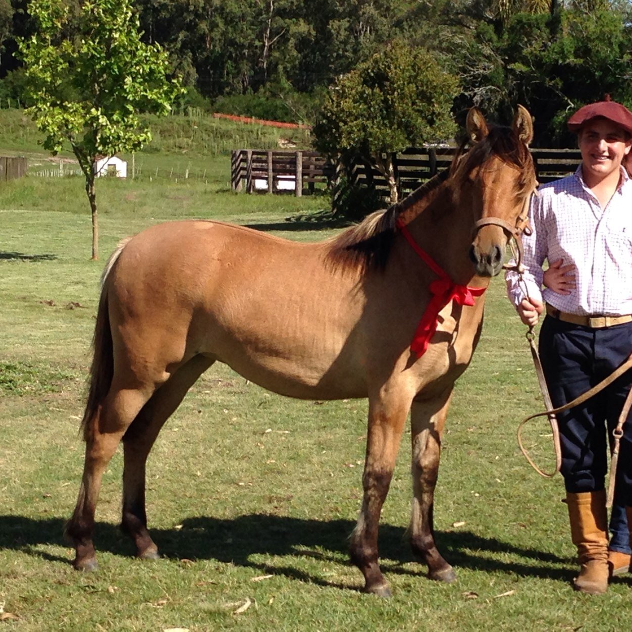 Matheus_S_Abreu's profile picture. Deja que tu sueños sean olas que se van libres como el viento en mitad del mar