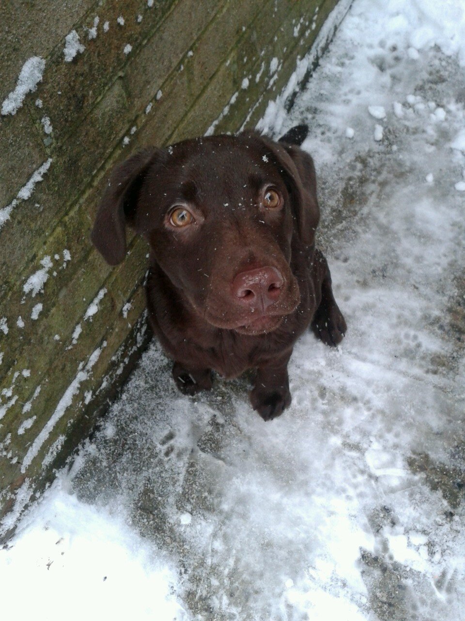 jackisbear's profile picture. 