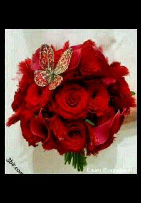 ‏‏‏‏سبحان اللهم وبحمده عدد خلقه ورضاء نفسه وزنة عرشه ومداد كلماته♡