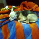 albert mata i marrug - @amataa36 - Twitter