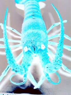 まぐろの頭脳で頭良くなる！受験、就活、資格などに有益な情報を発信します。相互フォローします。