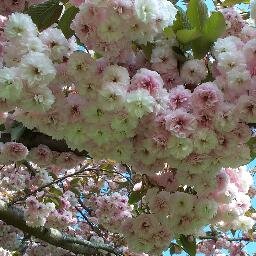 prettysmart808's profile picture. I like informative articles, inspirational thoughts; poems & music. I read, learn, listen & share it😇