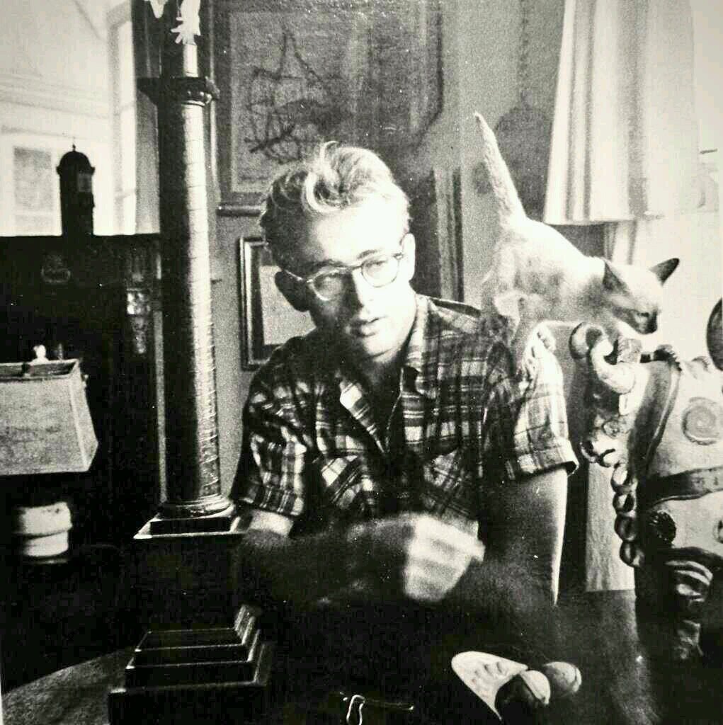 asaminyanta88's profile picture. 